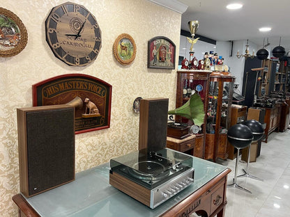 Flawless Dual HS 151 Flagship | Impeccable Condition | Includes CL 260 Speaker Set | Fully Functional