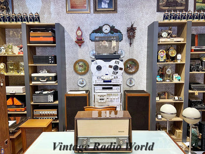 SABA Triberg-125 Radio - Vintage Audio Elegance - For Sale